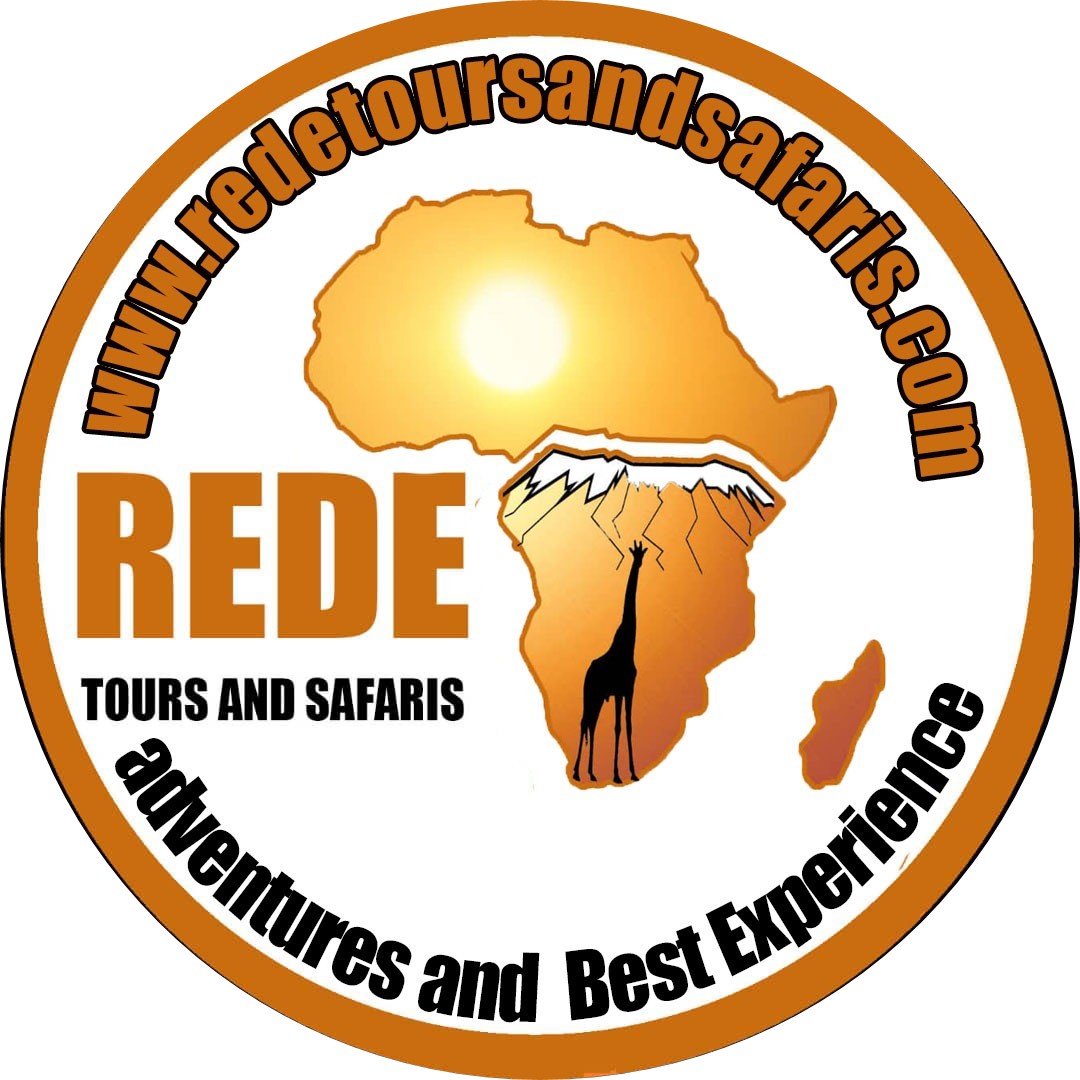 about rede tours and safaris