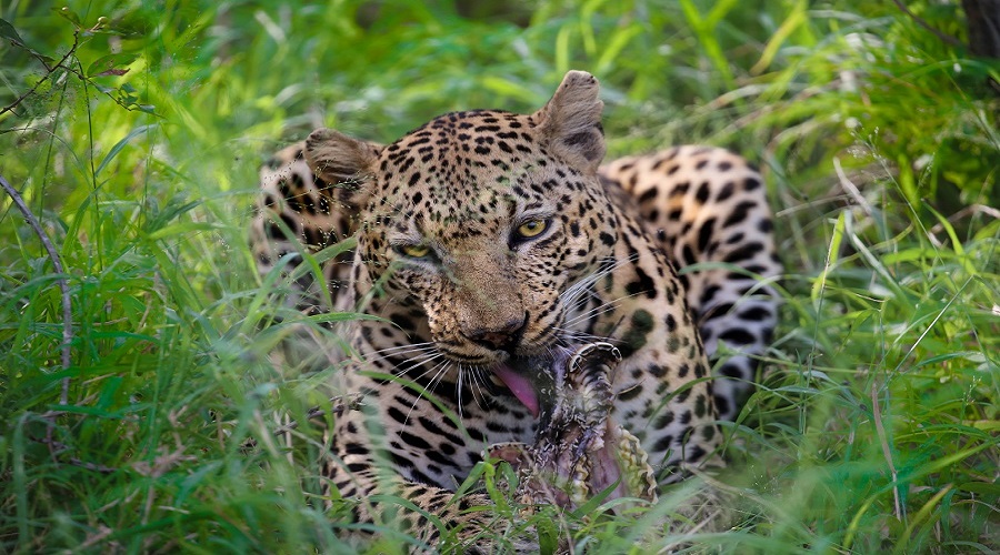 Lake Manyara National Park