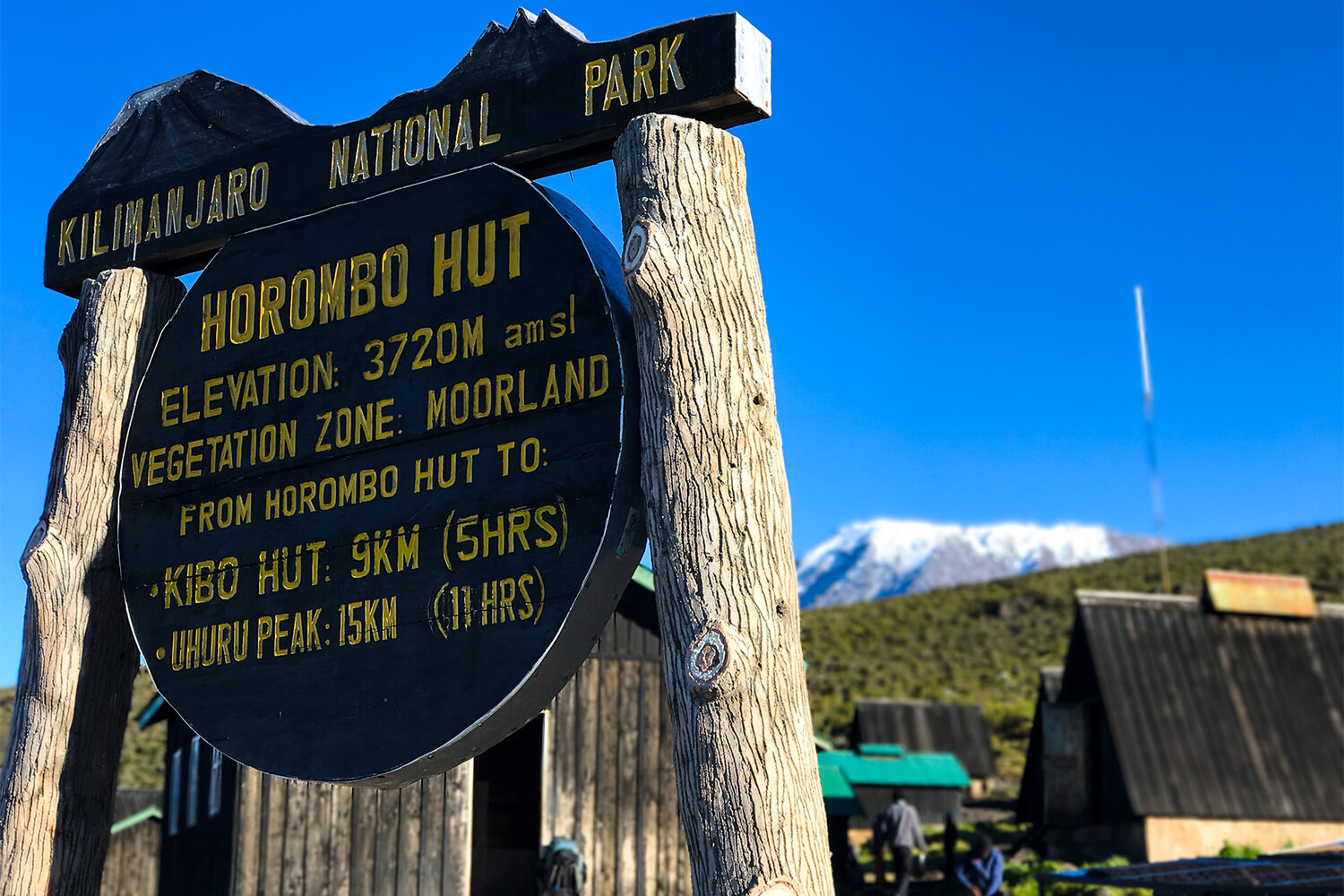 6 Days Marangu Route Kilimanjaro