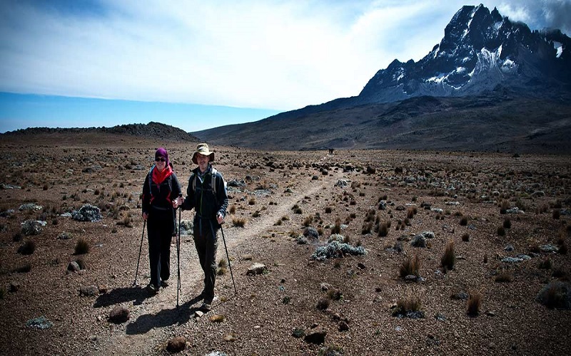 Kilimanjaro Climbing via Lemosho route for 7 days