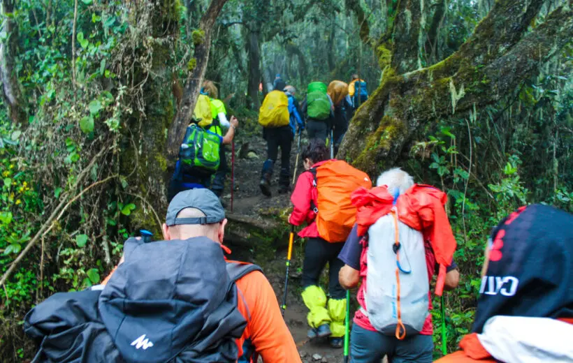 Enjoying the nature during Kilimanjaro climb via lemosho route