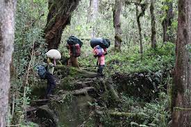 Group Joining Climb