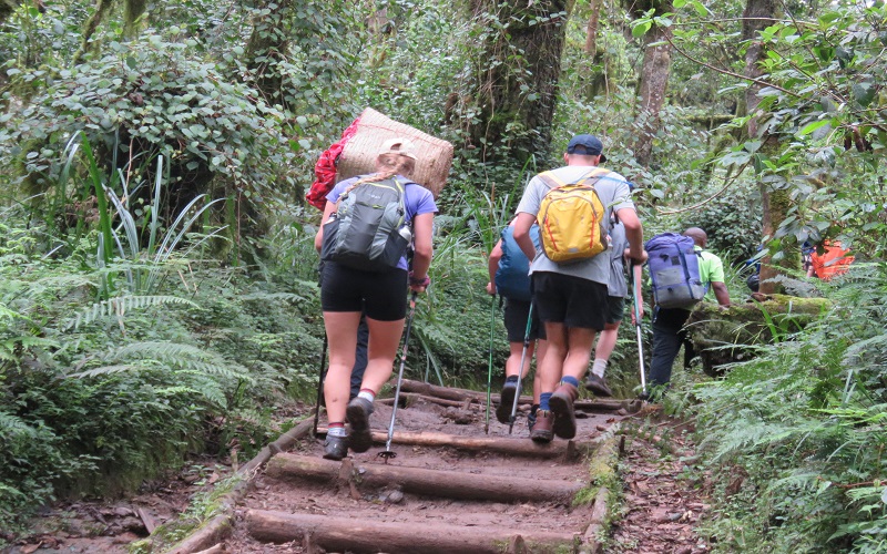 7 days Machame route Kilimanjaro climb