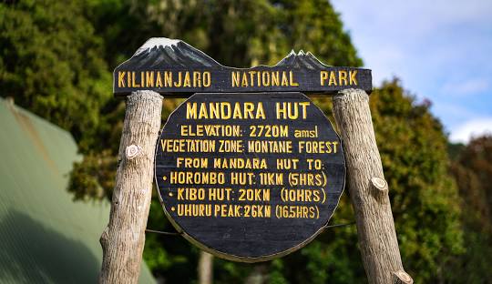 Day 1 of 5 Days Kilimanjaro climbing via Marangu At Mandara Hut