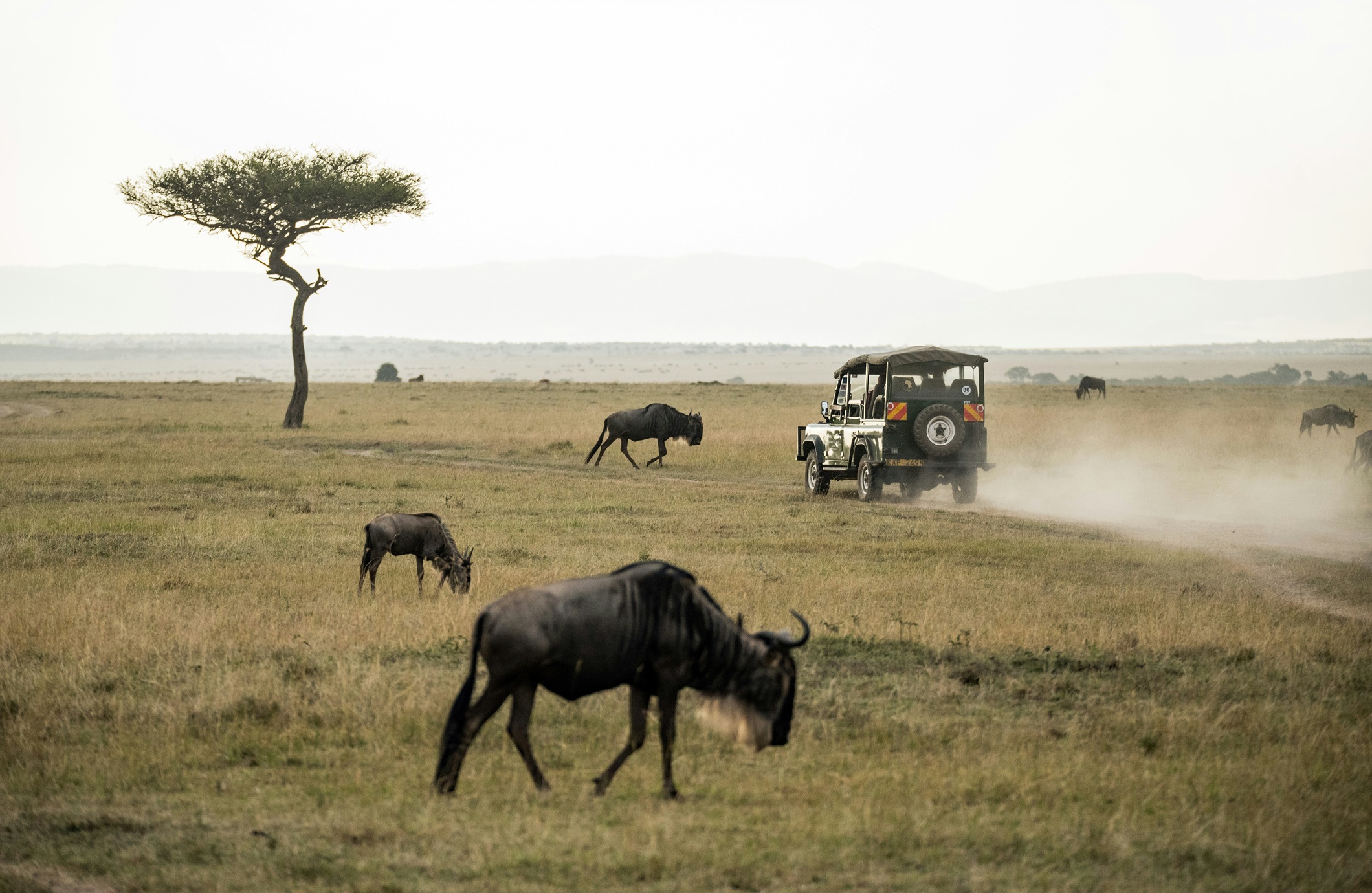 3 Days Tsavo East and Amboseli Safari