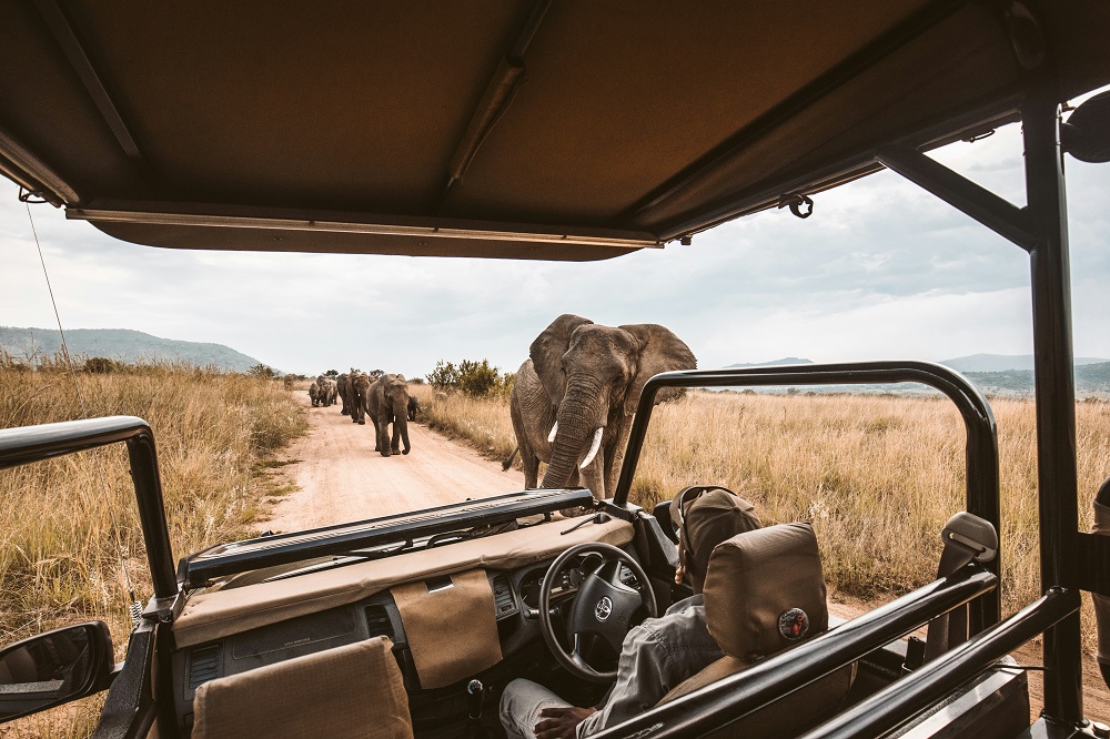 Safari Jeep in Mikumi National Park