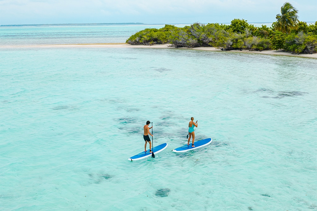 Mnemba Island
