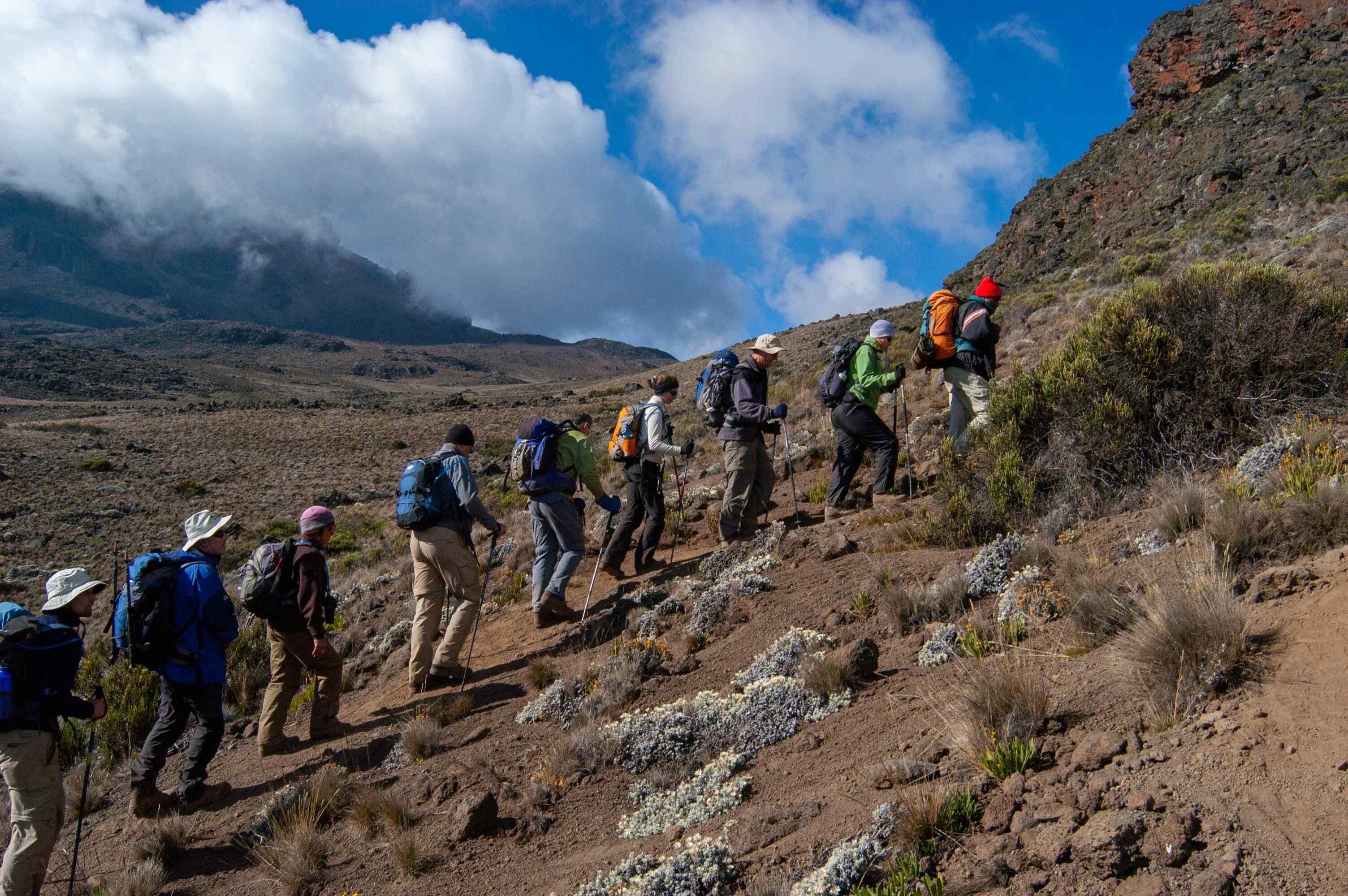 Climbers on Mount Kilimanjaro Lemosho Route