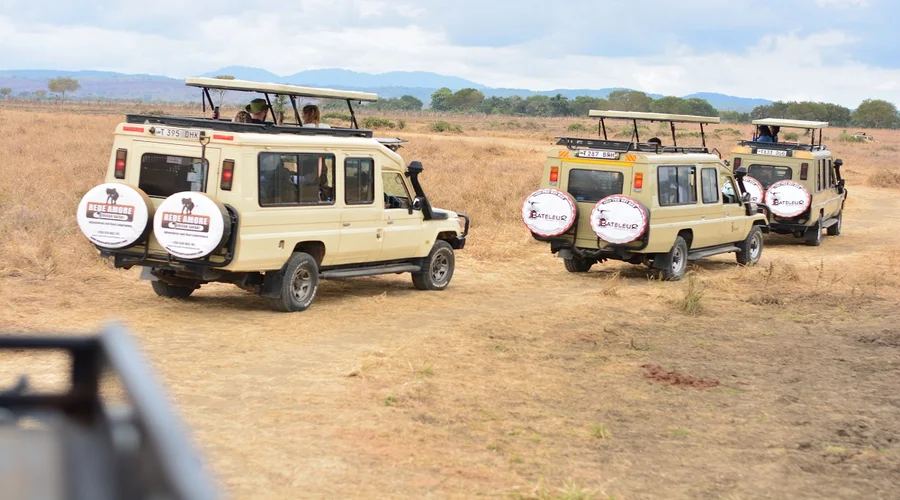 1 Day Serengeti Safari From Mwanza