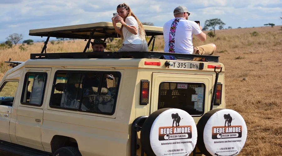 1 Day Serengeti Safari From Mwanza